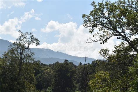 Hilly View of Nilgiri Hills of Tamil Nadu Stock Photo - Image of ...