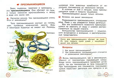 Рабочая Программа По Географии 5 Класс По Домогацких По Фгос ...