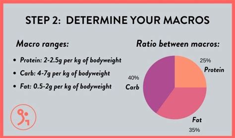 What Should Your Calories & Macros Be When Bulking? – Fitbod