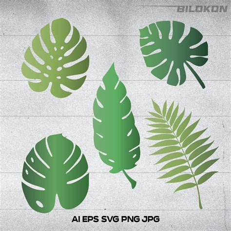 Tropical Leaves Palm Leaves Set Leaves Svg Vector Masterbundles