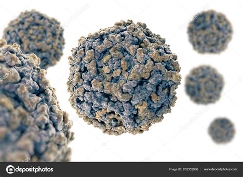 Parvovirus B19 Structure Human Parvovirus B19 B19 Virus Pdb 1S58 ...