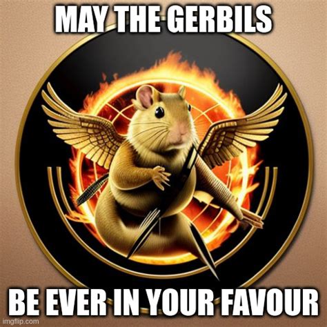 May The Gerbils Be Ever In Your Favour Imgflip