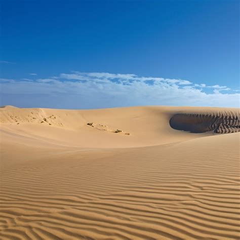 Premium AI Image | Desert landscape as far as the eye can see Golden ...