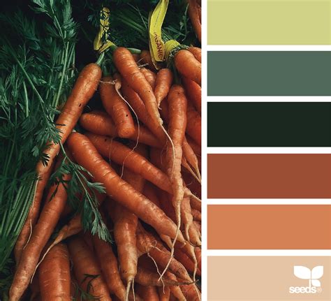 { Market Hues } Image Via Auntieclaras Seeds Color Design Seeds