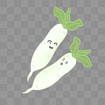 Radishes Clipart Transparent PNG Hd White Radish Hand Draw Cartoon