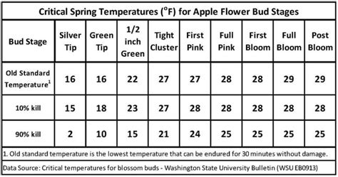 Flower Bud Damage Assessments Of Hudson Valley Apple April 8th 2016