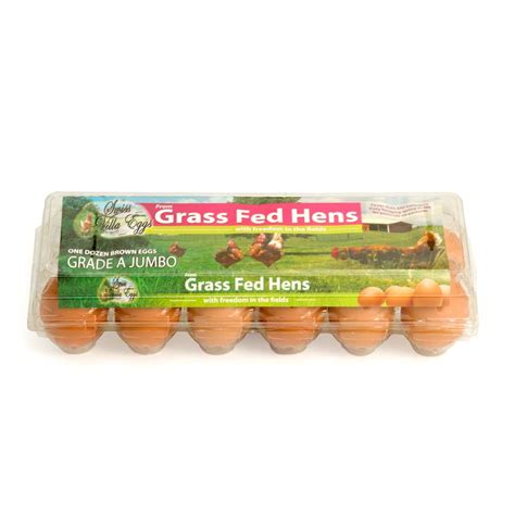 1 Dozen Grass Fed Jumbo Eggs in Plastic Carton - Swiss Villa LLC