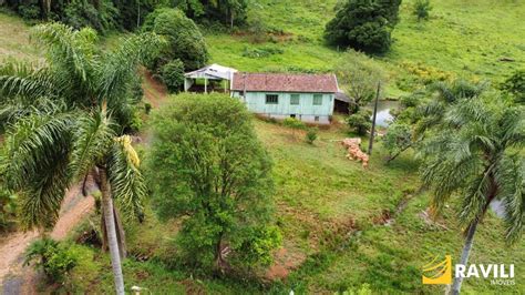 Sitio Para Venda Na Linha Turra Em Luzerna Sc Ravili Im Veis