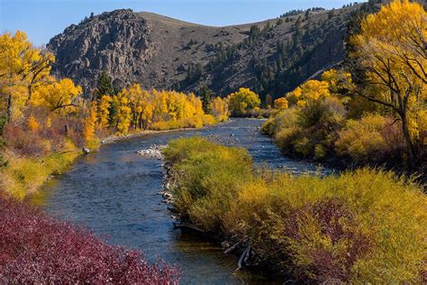 Cherry Creek Reservoir Fishing: Everything You Need to Know | onWater app