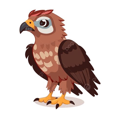 Hawk Clip Art