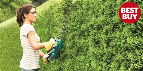 Best Hedge Trimmers: top rated cordless and electric trimmers to keep ...