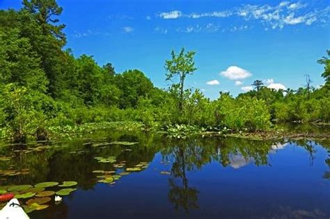 Lake Rim Park (Fayetteville) - 2021 All You Need to Know BEFORE You Go ...