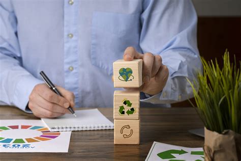 Desenvolvimento Sustentável: O Que é, Exemplos e Princípios
