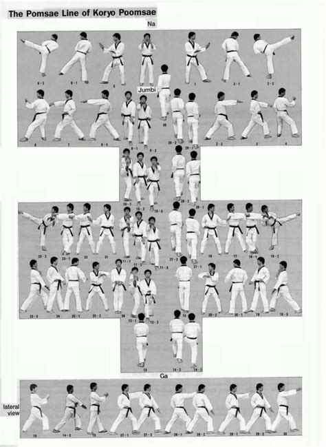 Wtf Taekwondo Forms
