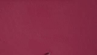 Arina Hot Lingerie Try On Haul Showcase Nudity Sexually And Explicit