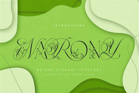 Narony Font Alit Design FontSpace