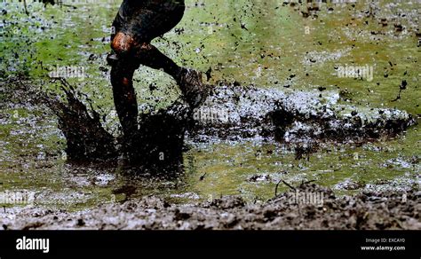 Wade Through Mud Hi Res Stock Photography And Images Alamy