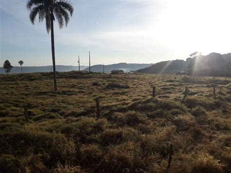 Polícia Militar desocupa fazenda invadida em Mangueirinha Guia