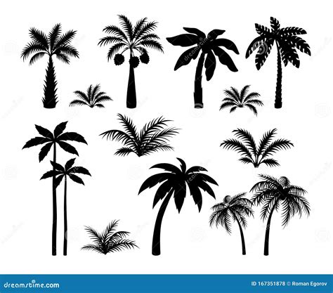 Silhouette Palm Trees. Set Tropical Black Jungle Plants. Black Leaves ...