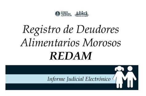 CSJ Habilita Plataforma Web Del Registro De Deudores Alimentarios