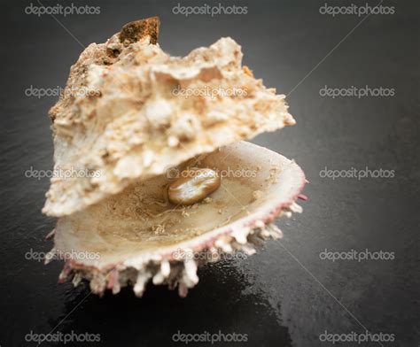 Pearl Inside Oyster Shell Stock Photo By ©ttlmedia 17592381