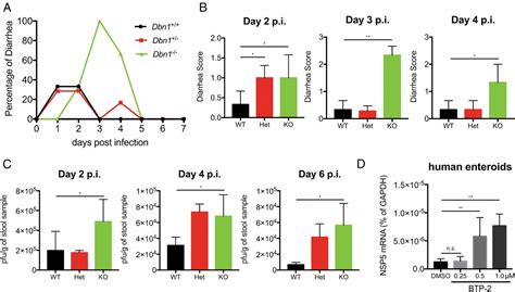 Drebrin Restricts Rotavirus Entry By Inhibiting Dynamin Mediated