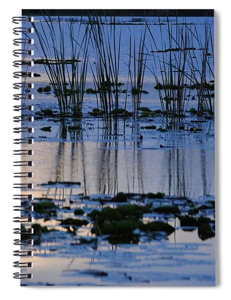 Corinne Carroll On Twitter RT Williams Pam Check Out This Notebook