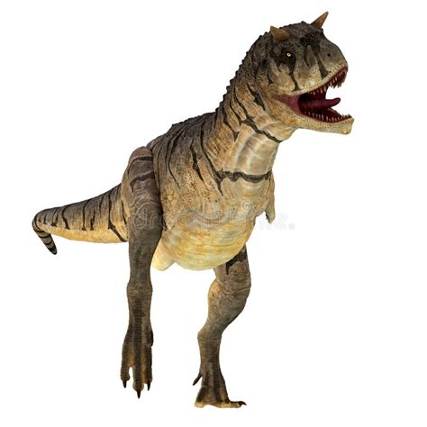 Carnotaurus Sastrei Dinosaur On White Stock Illustration Illustration