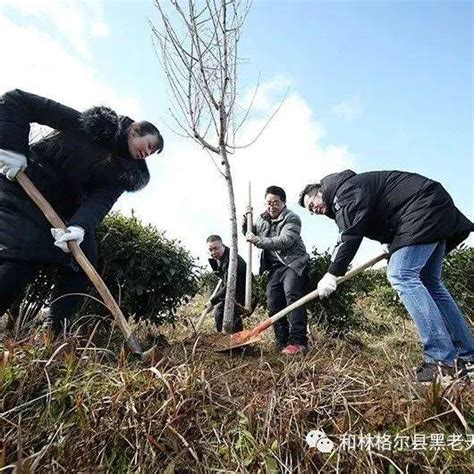 贵州：新春植树添新绿新华社活动工作日