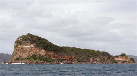 A History Of Lion Island In Broken Bay Daily Telegraph