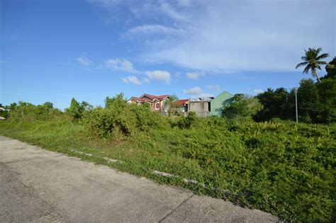 Sqm Lot In Villa Esperanza Alawihao Daet Camarines Norte For Sale