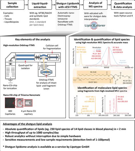 Quantitative Shotgun Lipidome Analysis 2022 Wiley Analytical Science