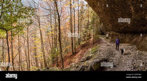 Hiking Through The Vrata Valley In Autumn Triglav National Park In The