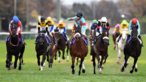 【競馬】最高のラストラン！gⅠ勝利で引退した名馬たち 競馬動画まとめ