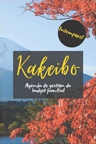 Kakeibo Intemporel Agenda De Gestion Du Budget De Anonyme Livre