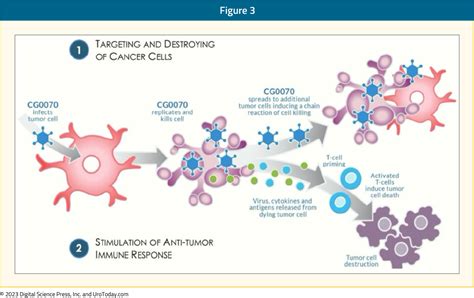 The Current Treatment Landscape Of Bcg Unresponsive Non Muscle Invasive