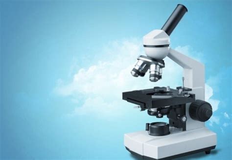 Monocular Vs Binocular Microscope