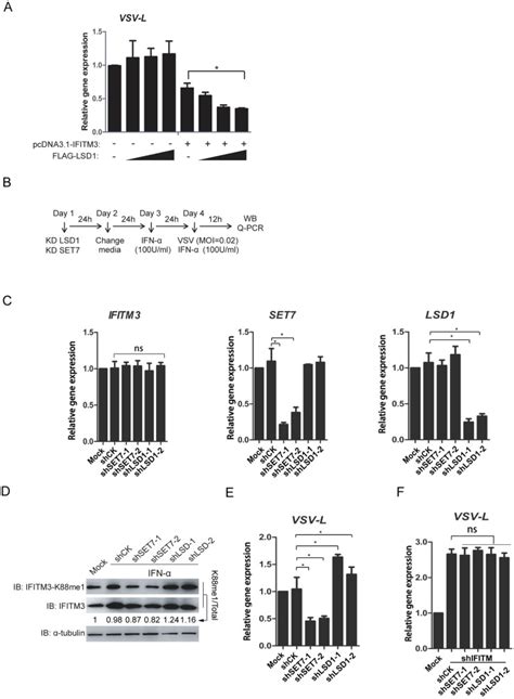 Histone Demethylase Lsd Restricts Influenza A Virus Infection By