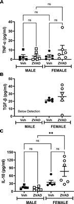 Frontiers Sex Differences In Apoptosis Do Not Contribute To Sex Differences In Blood Pressure