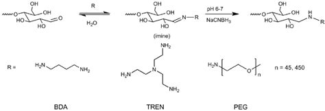 General reaction mechanism of a reductive amination with the reducing ...