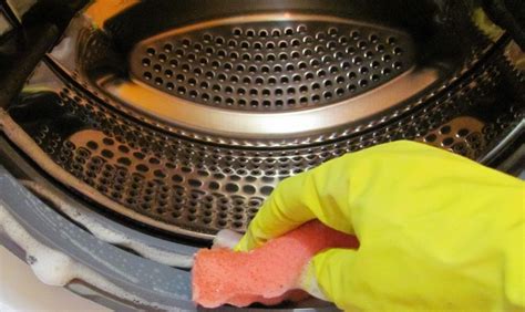 Очистка стиральной машины от плесени