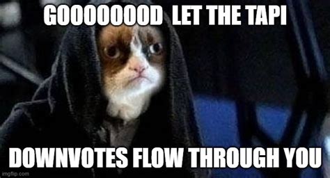 Emperor Grumpy Cat Palpatine Imgflip