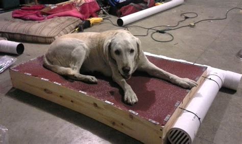 DIY Air Cooling Dog Bed - petdiys.com