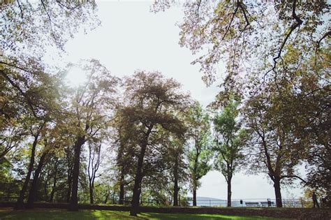 Premium Photo | Beautiful park in the castle of the city of przemysl