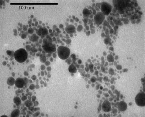 A Tem Image Of Agnps Gl B Particle Diameter Of Agnps Gl C Sem