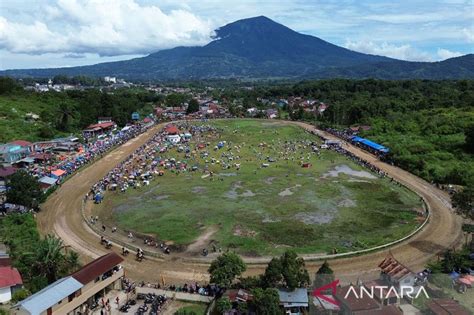 Pacuan Kuda Open Race Wali Kota Bukittinggi Cup Antara News