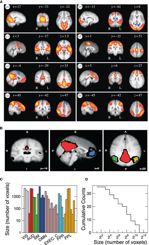 Frontiers What Kind Of Noise Is Brain Noise Anomalous Scaling