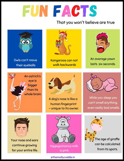 Fun Facts For Kids Printable Pdf