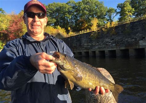 Fall Bass Maine Bass Fishing