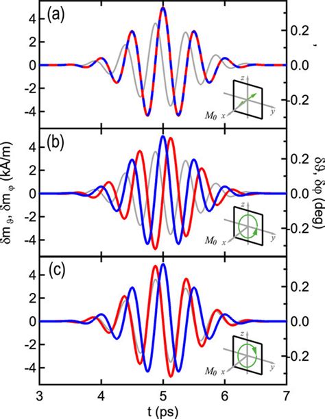 Magnetization Dynamics For Excitation With Linearly A And Circularly